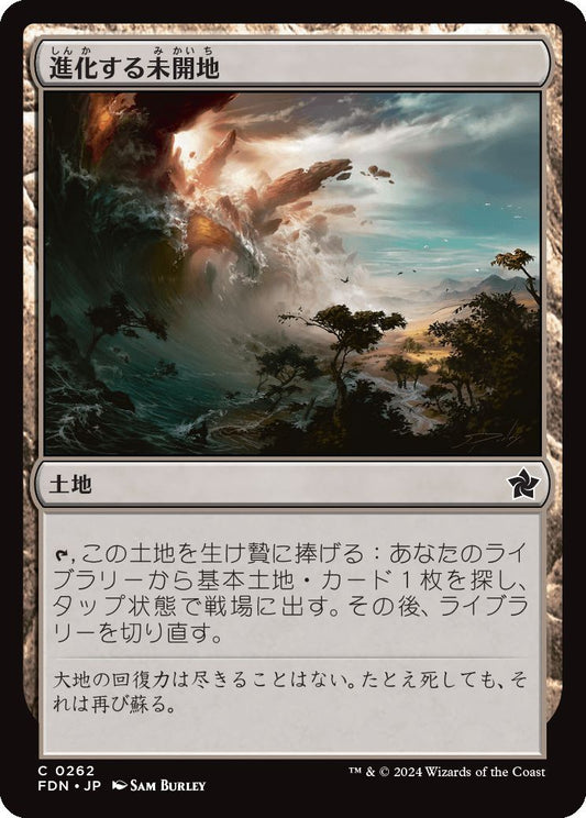 naokuroshop MTG [FDN][0262][土地][C][JP][進化する未開地/Evolving Wilds]（foil） NM