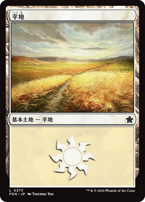 naokuroshop MTG [FDN][0273][土地][C][EN][平地/Plains] NM