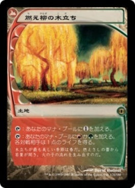 naokuroshop MTG [FUT][176][土地][R][JP][燃え柳の木立ち/Grove of the Burnwillows] NM