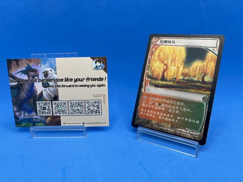 naokuroshop MTG [FUT][176][土地][R][ZH][燃え柳の木立ち/Grove of the Burnwillows]