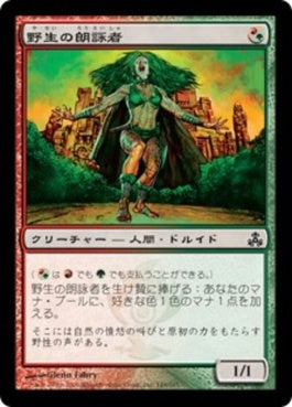 naokuroshop MTG [GPT][149][多][C][JP][野生の朗詠者/Wild Cantor] NM