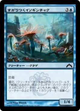 naokuroshop MTG [GTC][031][青][C][JP][すがりつくイソギンチャク/Clinging Anemones] NM