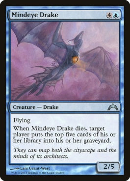 naokuroshop MTG [GTC][043][青][U][EN][心見のドレイク/Mindeye Drake] NM