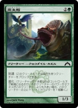 naokuroshop MTG [GTC][116][緑][C][JP][両生鰐/Crocanura] NM