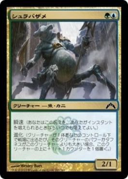 naokuroshop MTG [GTC][193][多][C][JP][シュラバザメ/Shambleshark] NM