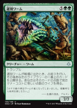 naokuroshop MTG [HOU][135][緑][U][JP][選別ワーム/Sifter Wurm] NM