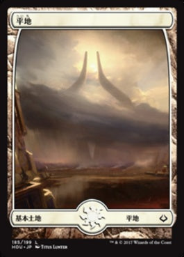 naokuroshop MTG [HOU][185][土地][C][JP][平地/Plains] NM