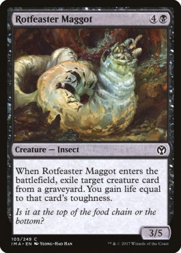 naokuroshop MTG [IMA][105][黒][C][EN][腐敗喰いの蛆/Rotfeaster Maggot] NM