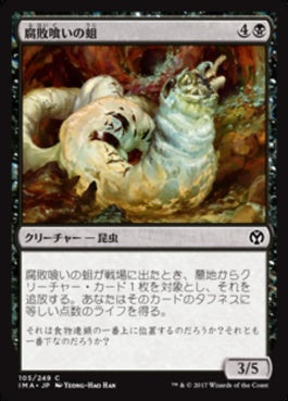 naokuroshop MTG [IMA][105][黒][C][JP][腐敗喰いの蛆/Rotfeaster Maggot] NM