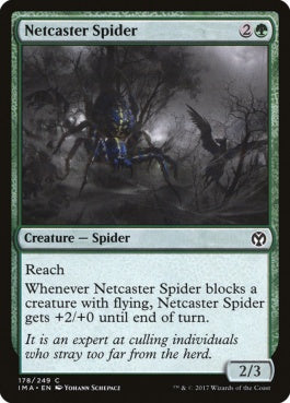 naokuroshop MTG [IMA][178][緑][C][EN][網投げ蜘蛛/Netcaster Spider] NM