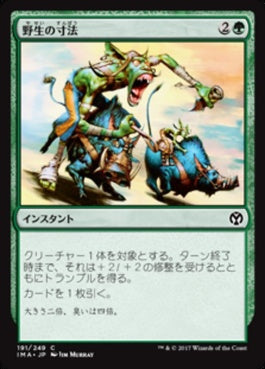 naokuroshop MTG [IMA][191][緑][C][JP][野生の寸法/Wildsize] NM