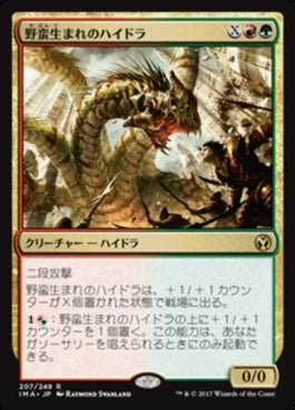 naokuroshop MTG [IMA][207][多][R][JP][野蛮生まれのハイドラ/Savageborn Hydra] NM