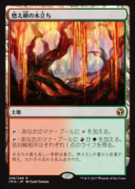 naokuroshop MTG [IMA][238][土地][R][JP][燃え柳の木立ち/Grove of the Burnwillows] NM