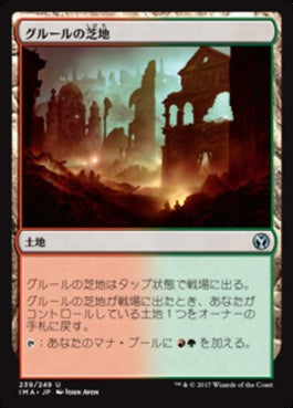 naokuroshop MTG [IMA][239][土地][U][JP][グルールの芝地/Gruul Turf] NM