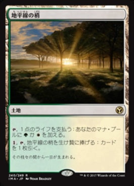 naokuroshop MTG [IMA][240][土地][R][JP][地平線の梢/Horizon Canopy] NM