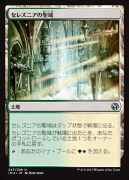 naokuroshop MTG [IMA][247][土地][U][JP][セレズニアの聖域/Selesnya Sanctuary] NM