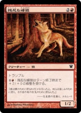 naokuroshop MTG [ISD][142][赤][C][JP][残忍な峰狼/Feral Ridgewolf] NM