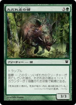 naokuroshop MTG [ISD][179][緑][C][JP][ただれ皮の猪/Festerhide Boar] NM