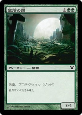 naokuroshop MTG [ISD][184][緑][C][JP][墓所の茨/Grave Bramble] NM