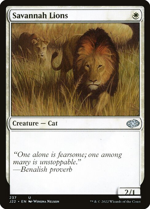 naokuroshop MTG [J22][237][白][U][EN][サバンナ・ライオン/Savannah Lions] NM