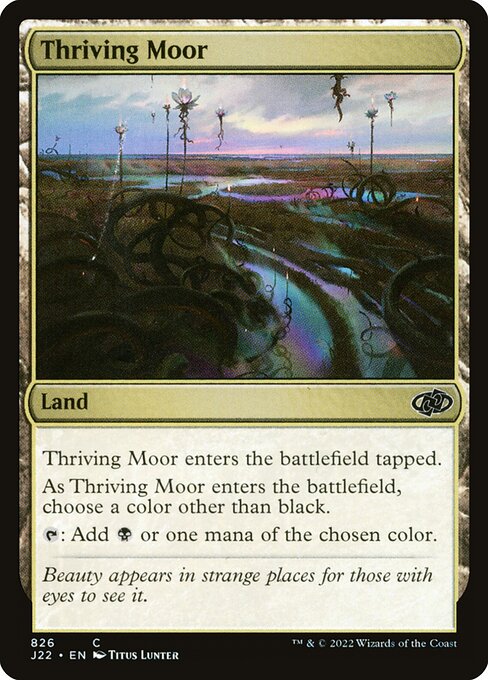 naokuroshop MTG [J22][826][土地][C][EN][興隆する湿地帯/Thriving Moor] NM