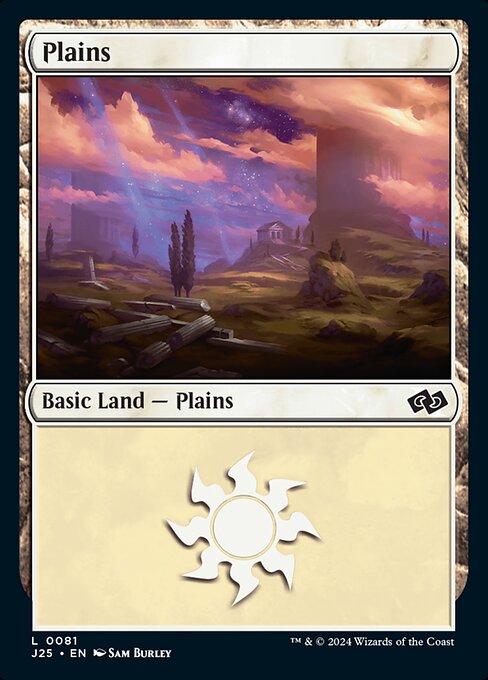 naokuroshop MTG [J25][0081][土地][C][EN][平地/Plains]（foil） NM