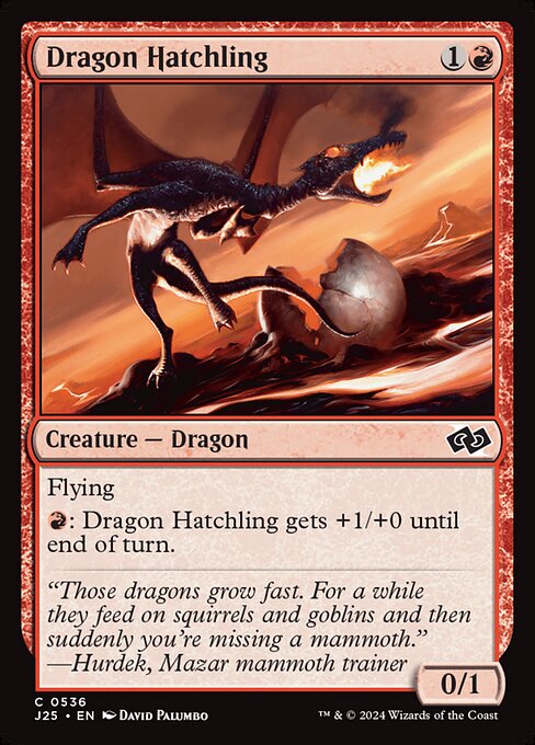 naokuroshop MTG [J25][0536][赤][C][EN][ドラゴンの雛/Dragon Hatchling] NM