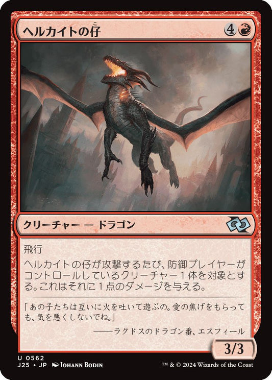 naokuroshop MTG [J25][0562][赤][U][JP][ヘルカイトの仔/Hellkite Whelp] NM