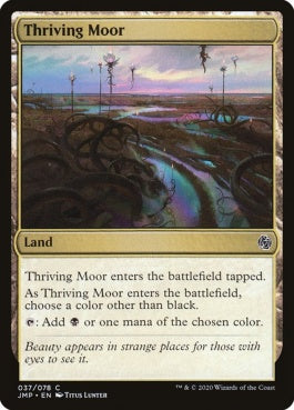 naokuroshop MTG [JMP][037][土地][C][EN][興隆する湿地帯/Thriving Moor] NM