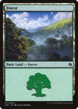 naokuroshop MTG [JMP][071][土地][C][EN][森/Forest] NM