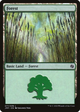 naokuroshop MTG [JMP][077][土地][C][EN][森/Forest] NM