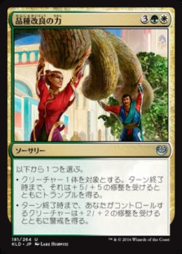 naokuroshop MTG [KLD][181][多][U][JP][品種改良の力/Engineered Might] NM