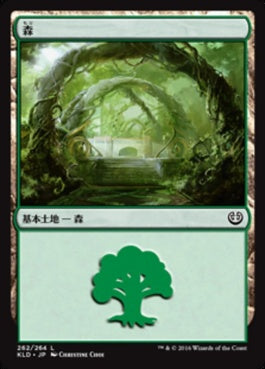 naokuroshop MTG [KLD][262][土地][C][JP][森/Forest] NM