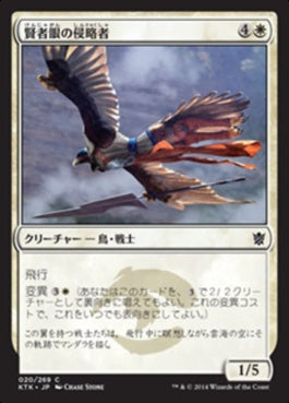 naokuroshop MTG [KTK][020][白][C][JP][賢者眼の侵略者/Sage-Eye Harrier] NM