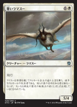 naokuroshop MTG [KTK][028][白][U][JP][尊いラマスー/Venerable Lammasu] NM