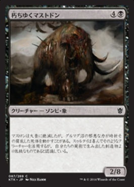 naokuroshop MTG [KTK][087][黒][C][JP][朽ちゆくマストドン/Rotting Mastodon] NM