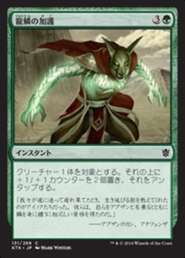 naokuroshop MTG [KTK][131][緑][C][JP][龍鱗の加護/Dragonscale Boon] NM