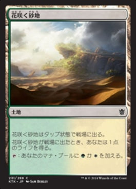 naokuroshop MTG [KTK][231][土地][C][JP][花咲く砂地/Blossoming Sands] NM