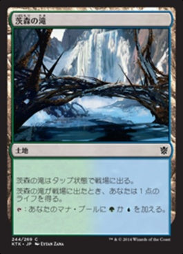 naokuroshop MTG [KTK][244][土地][C][JP][茨森の滝/Thornwood Falls] NM