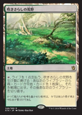 naokuroshop MTG [KTK][248][土地][R][JP][吹きさらしの荒野/Windswept Heath]（foil） NM