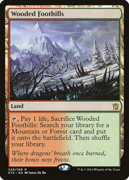 naokuroshop MTG [KTK][249][土地][R][EN][樹木茂る山麓/Wooded Foothills] NM