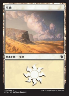 naokuroshop MTG [KTK][250][土地][C][JP][平地/Plains] NM