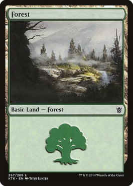 naokuroshop MTG [KTK][267][土地][C][EN][森/Forest] NM