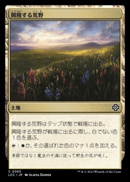 naokuroshop MTG [LCC][0363][土地][C][JP][興隆する荒野/Thriving Heath] NM