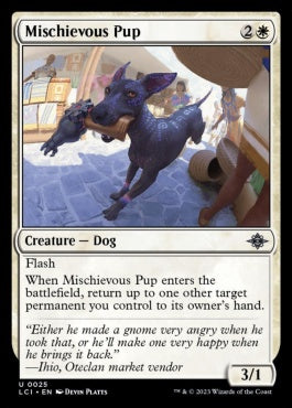 naokuroshop MTG [LCI][0025][白][U][EN][悪戯好きの子犬/Mischievous Pup]（foil） NM