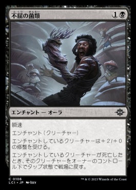 naokuroshop MTG [LCI][0106][黒][C][JP][不屈の菌類/Fungal Fortitude]（foil） NM