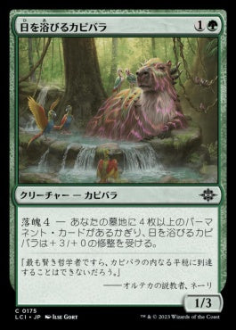 naokuroshop MTG [LCI][0175][緑][C][JP][日を浴びるカピバラ/Basking Capybara]（foil） NM