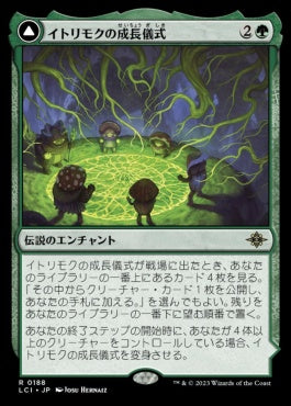 naokuroshop MTG [LCI][0188][緑][R][JP][イトリモクの成長儀式/Growing Rites of Itlimoc]（foil） NM