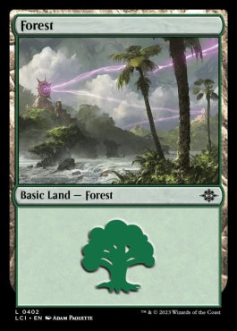 naokuroshop MTG [LCI][0402][土地][C][EN][森/Forest] NM