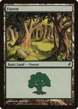 naokuroshop MTG [LRW][300][土地][C][EN][森/Forest] NM